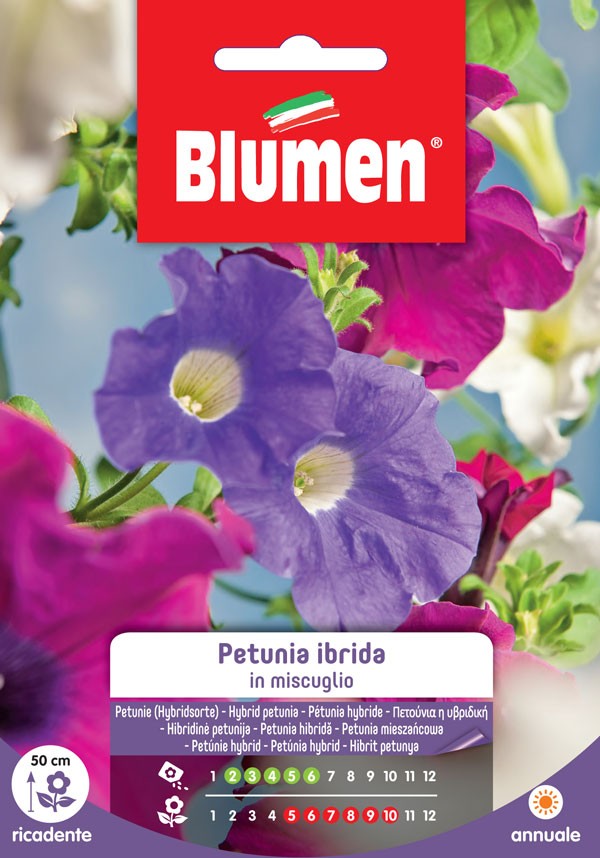 Blumen - Semi - Petunia - Ibrida - Miscuglio - Busta