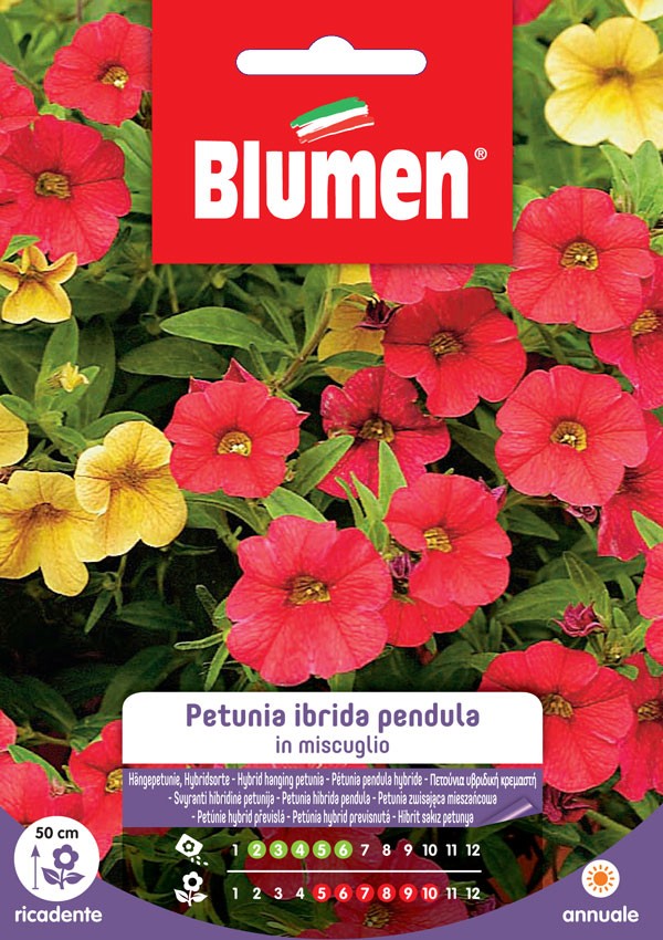 Blumen - Semi - Petunia - Ibrida - Pendula - Miscuglio - Busta