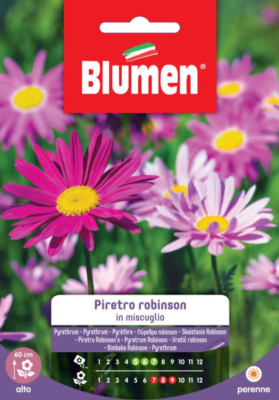 Blumen - Semi - Piretro - Robinson - in Miscuglio - Busta