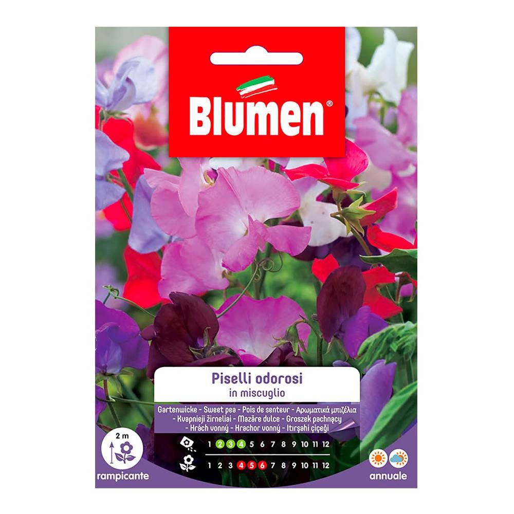 Blumen - Semi - Piselli - Odorosi - Miscuglio - Busta