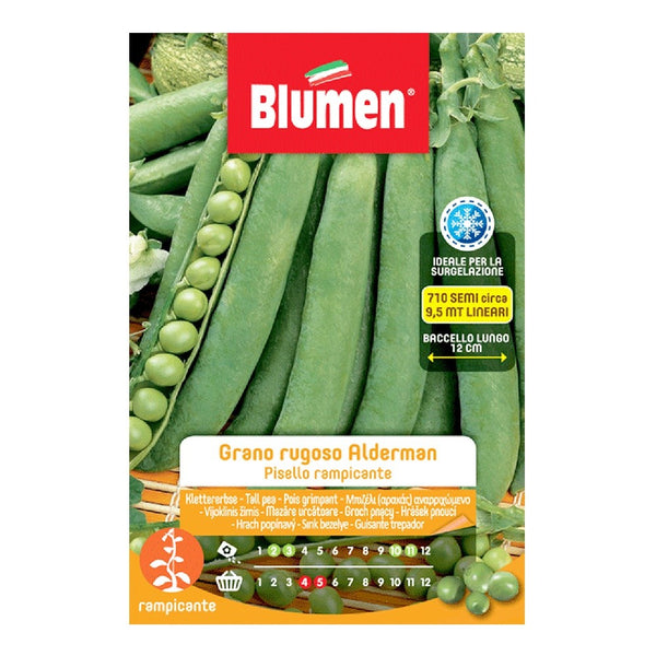 Blumen - Semi - Pisello - Rampicante - Grano - Rugoso - Alderman - Busta
