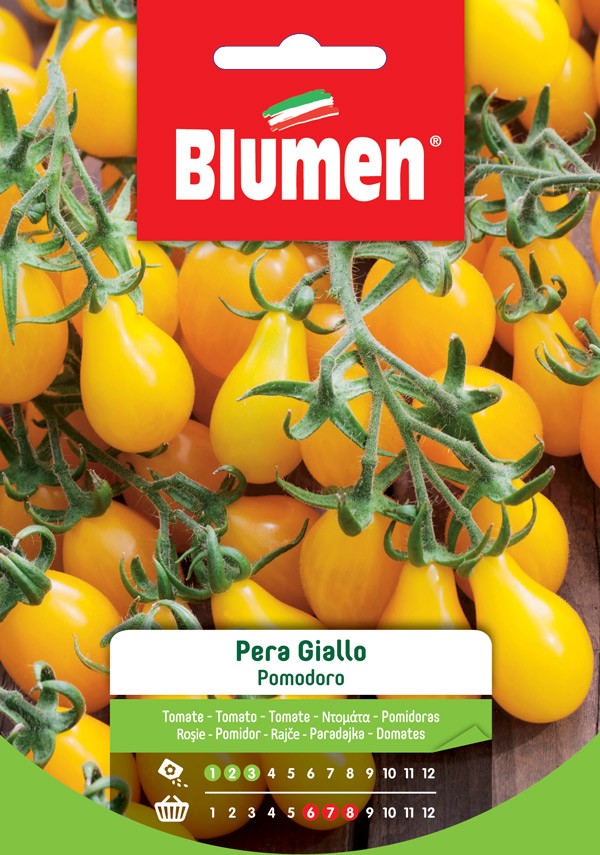 Blumen - Semi - Pomodoro - Pera - Giallo - Busta