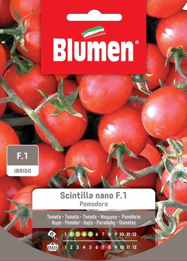 Blumen - Semi - Pomodoro - Scintilla - Nano - F.1 - Busta