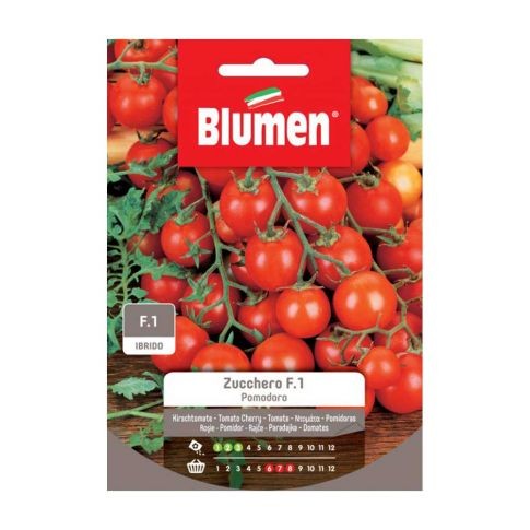 Blumen - Semi - Pomodoro - Zucchero - F.1 - Ibrido