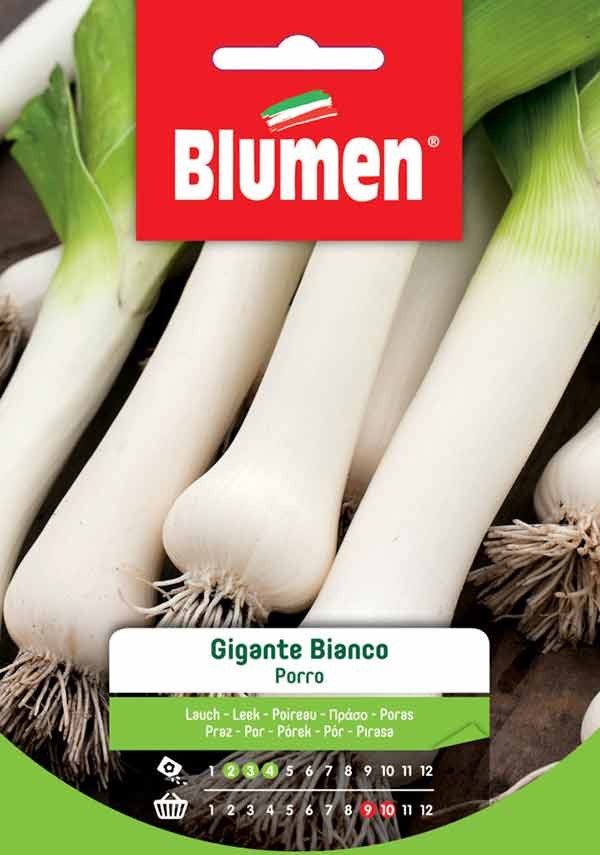 Blumen - Semi - Porro - Gigante - Bianco - busta