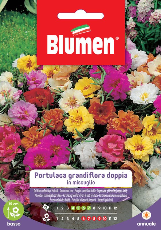 Blumen - Semi - Portulaca - Grandiflora - Doppia - in Miscuglio - Busta