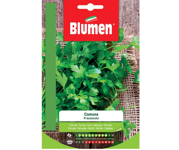 Blumen - Semi - Prezzemolo - Comune - Busta