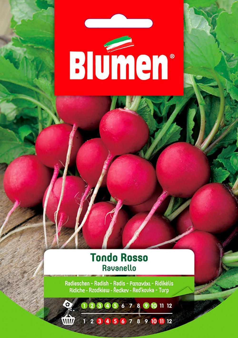 Blumen - Semi - Ravanello - Tondo - Rosso - Busta