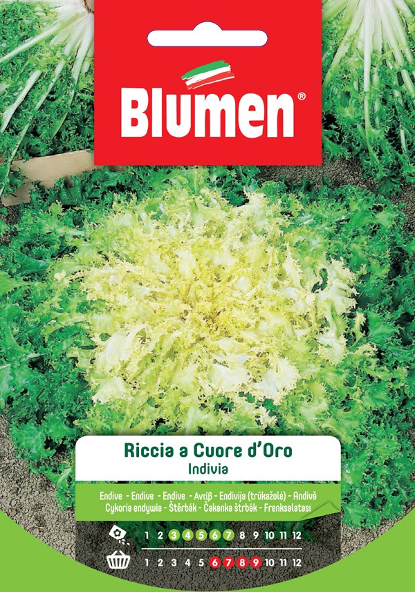 Blumen - Semi - Riccia - Cuore - D'oro - Busta
