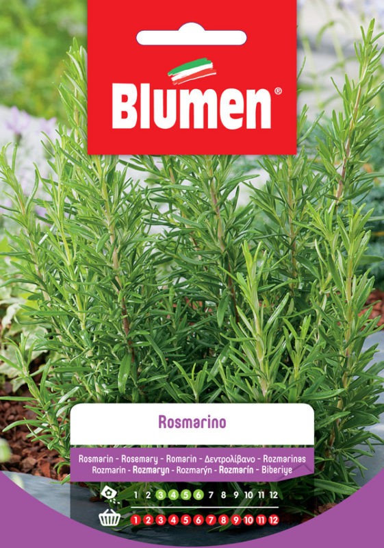 Blumen - Semi - Rosmarino - Busta
