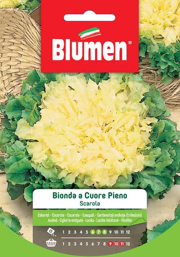 Blumen - Semi - Scarola - Bionda - Cuore - Pieno - Busta