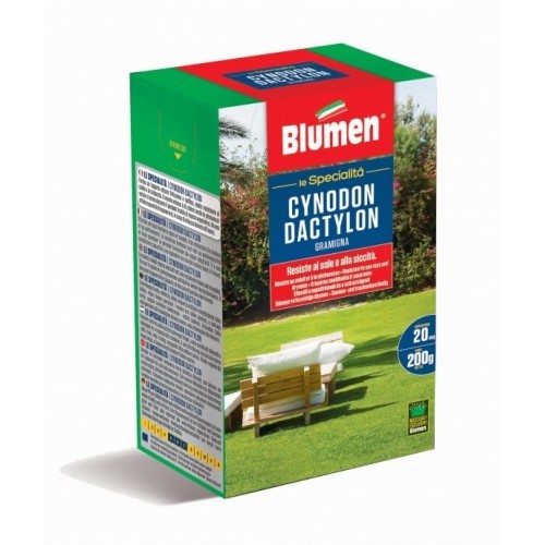 Blumen - Semi - Specialità - Cynodon - Dactylon - Gramigna - Resistente - Sole - Siccità - 20 mq - 200 g