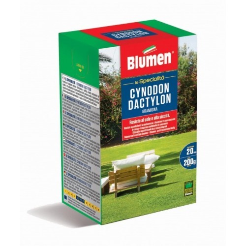 Semi gramigna Cynodon dactylon 200 g Blumen