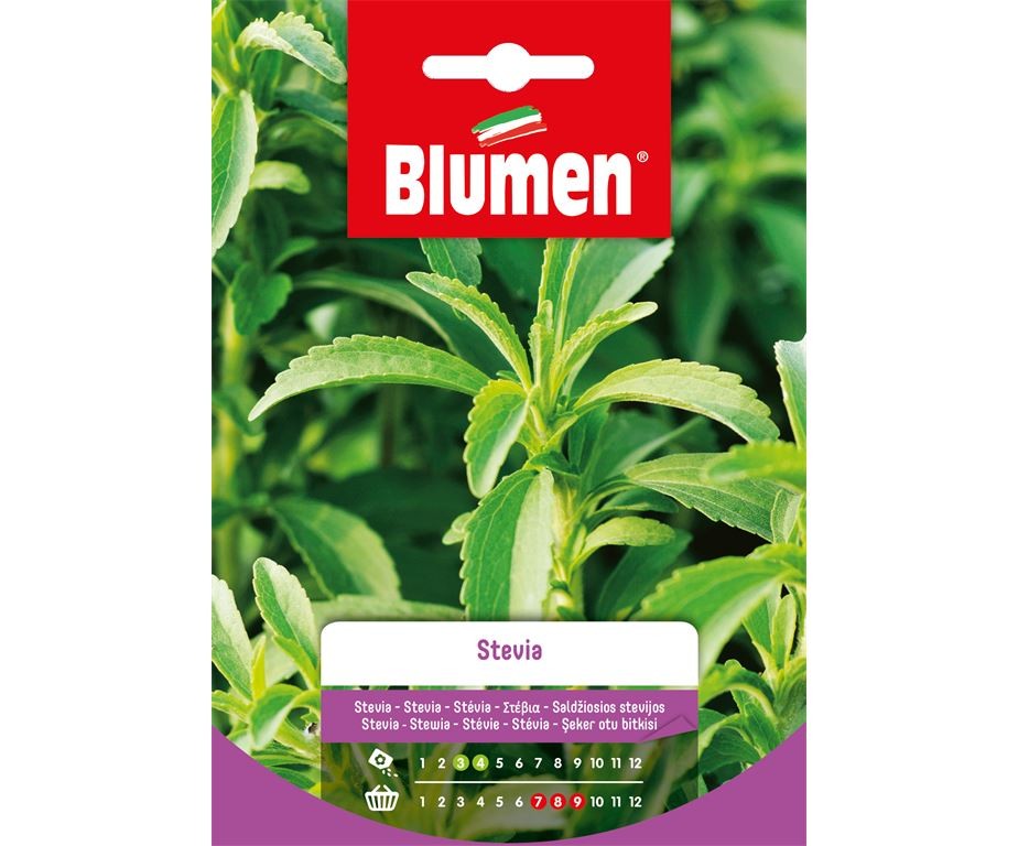 Blumen - Semi - Stevia -Busta