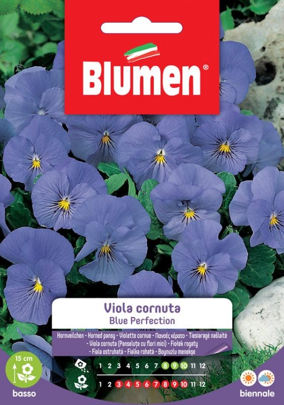 Blumen - Semi - Viola - Cornuta - Blue - Perfection - Busta