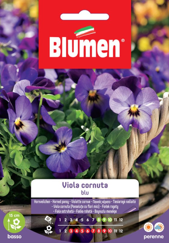 Blumen - Semi - Viola - Cornuta - Busta