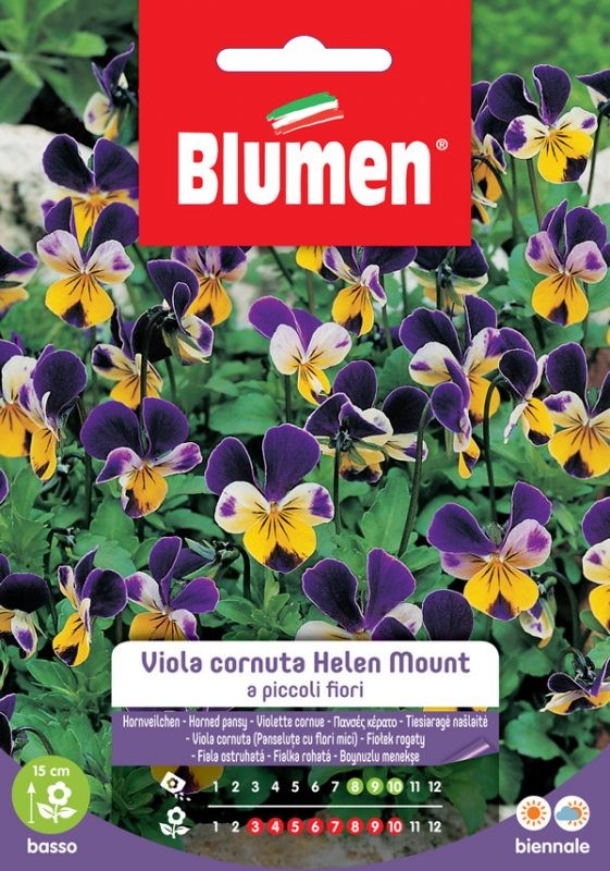 Blumen - Semi - Viola - Cornuta - Helen - Mount - a piccoli - fiori - Busta