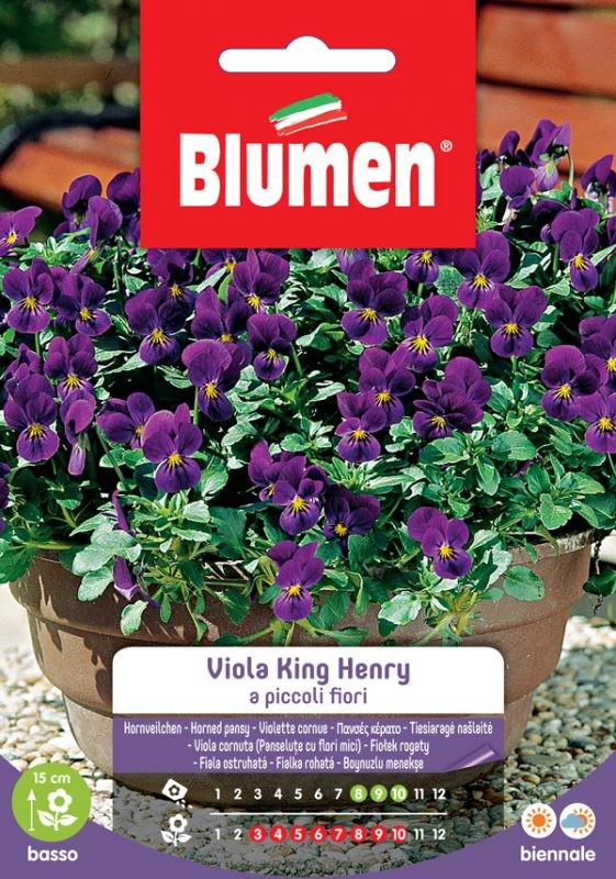 Blumen - Semi - Viola - King - Henry - Piccoli - Fiori - Busta