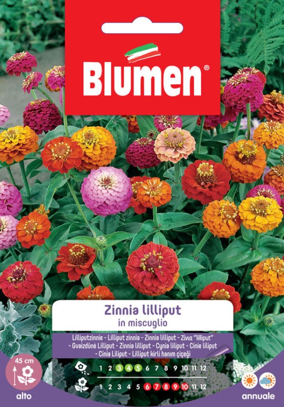 Blumen - Semi - Zinnia - Lilliput - in Miscuglio - Busta