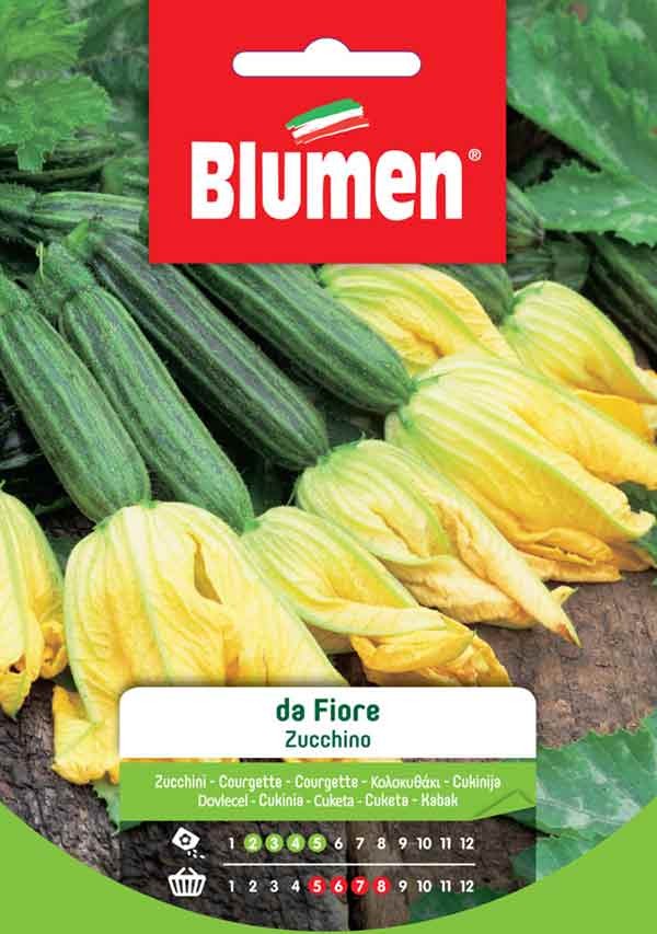 Blumen - semi - Zucchino - Da - Fiore - Busta
