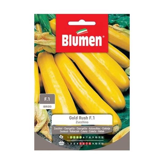 Blumen - Semi - Zucchino - Gold - Rush F.1 - Ibrido