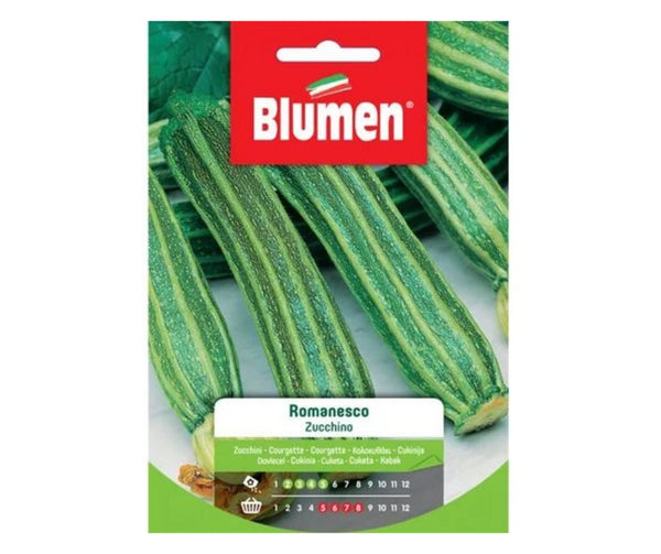Blumen - Semi - Zucchino - Romanesco - Busta