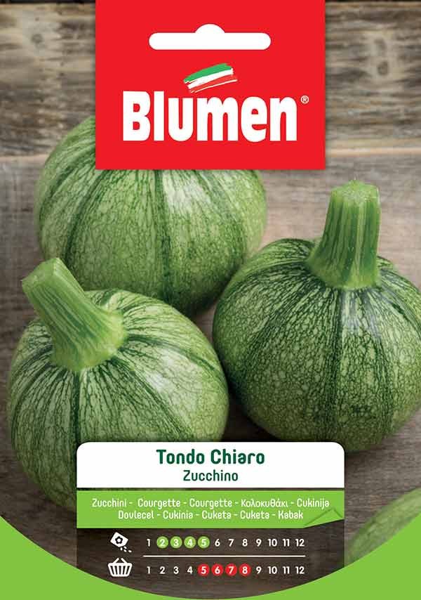 Blumen - Semi - Zucchino - Tondo - Chiaro - Busta
