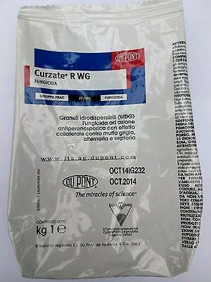 Fungicida Curzate R WG 1 Kg DuPont