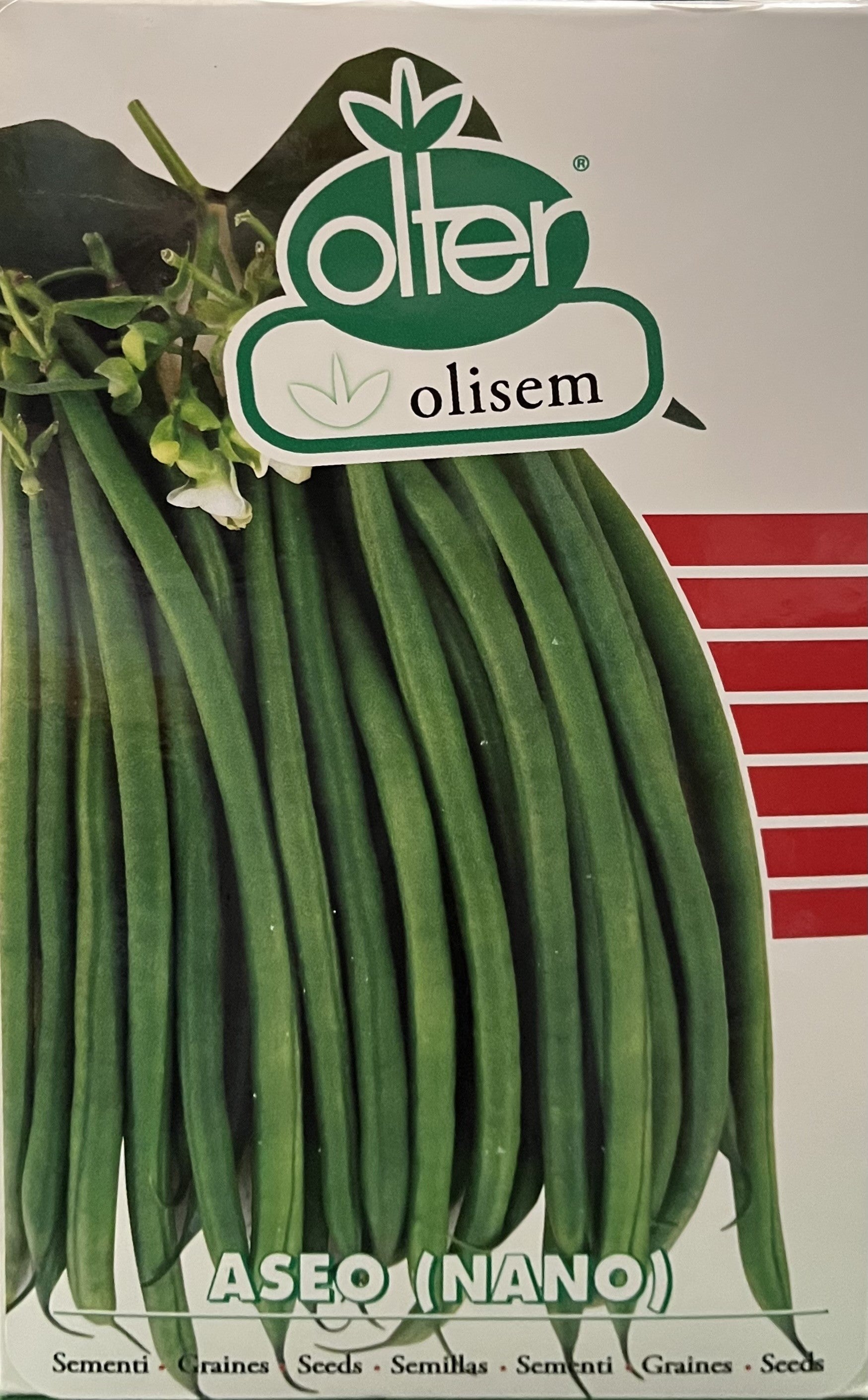 Fagiolo nano ASEO - a foglia larga - sementi - olter - olisem - Blumen - vegetable
