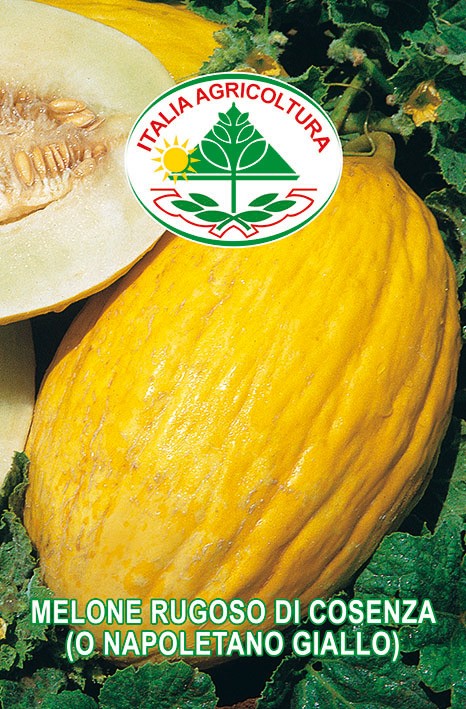 Melone Rugoso Di Cosenza