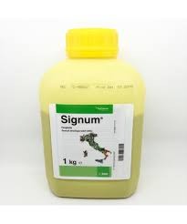 Signum - Fungicida ad ampio spettro contro botrite, oidio, sclerotinia, cladosporiosi e alternaria