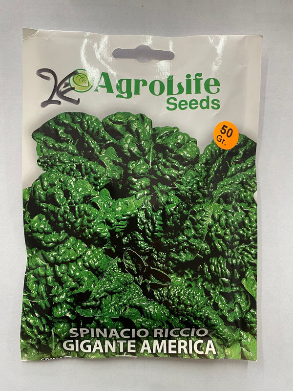 Spinacio riccio gigante America - Bustine da 50 grammi